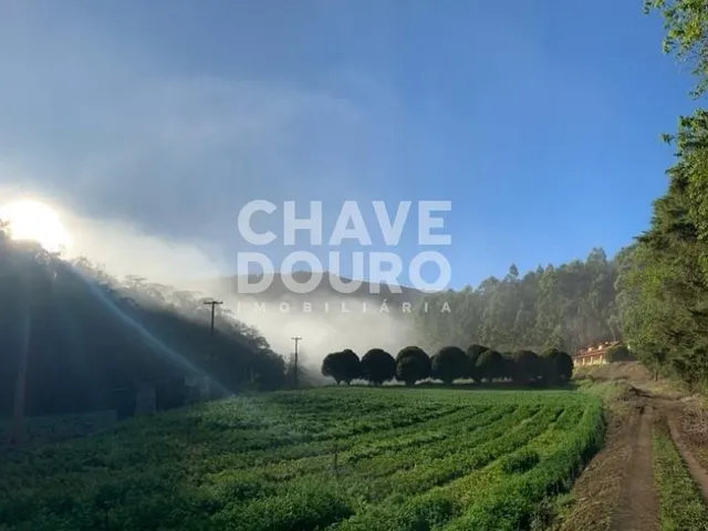 Imagem 6: Fazenda com 348 hectares e diversificadas lavouras para venda em Teresópolis