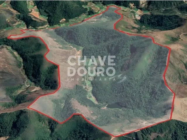 Imagem 14: Fazenda com 348 hectares e diversificadas lavouras para venda em Teresópolis