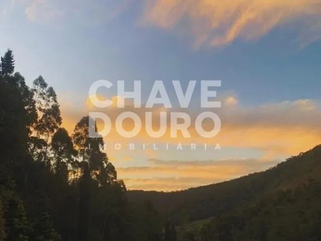Imagem 3: Fazenda com 348 hectares e diversificadas lavouras para venda em Teresópolis