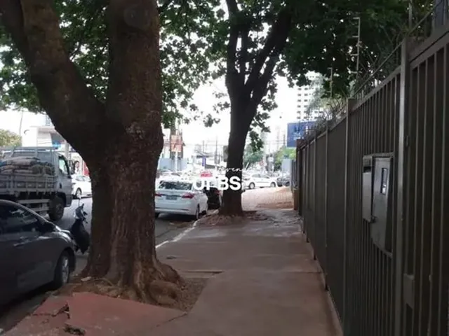 Imagem 16: 0 - Casa 5 Quartos, Sendo 3 Suítes