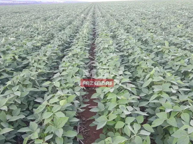 Imagem: A fazenda possui 500m² de Área e está localizado em