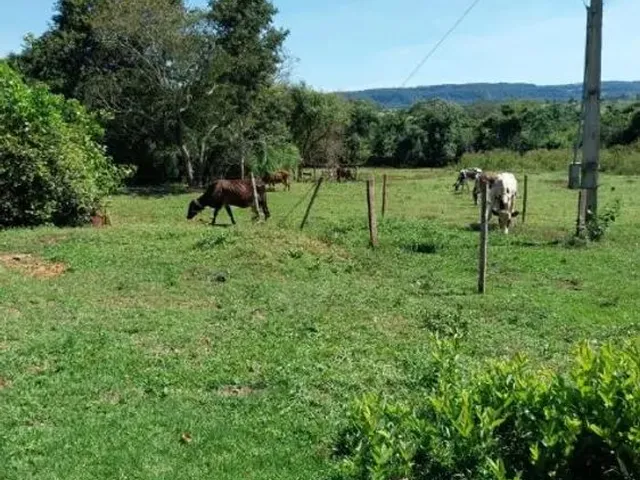 Imagem: Vendo Fazenda de Cultura Boa