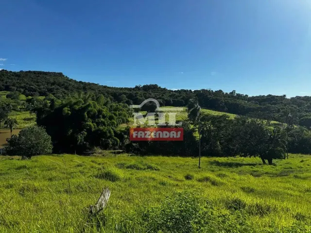 Imagem: Sitio 19 Alqueires (91,96 Hectares) Jandaia