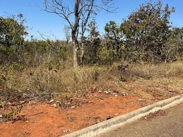 Imagem: Area 1.000,00M² (Asfalto e Agua) Setor