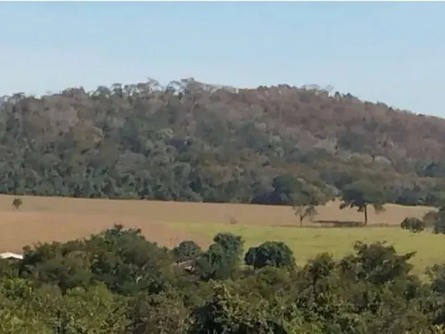 Imagem: Fazenda em Frente Ao Casarão (Cezarina