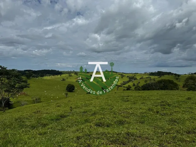 Imagem: Fazenda de 192 Alq em Ipameri-Go