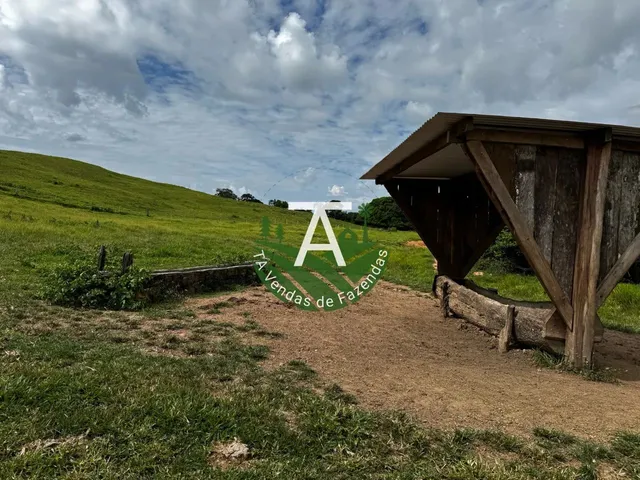 Imagem 12: Fazenda de 192 Alq em Ipameri-Go
