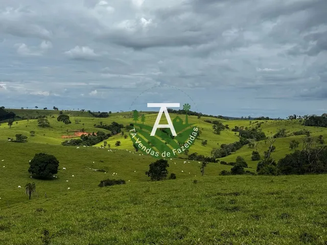 Imagem 14: Fazenda de 192 Alq em Ipameri-Go
