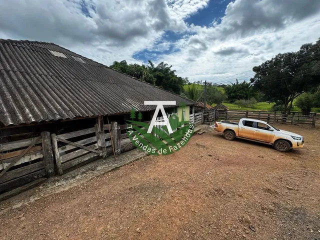 Imagem 10: Fazenda de 192 Alq em Ipameri-Go