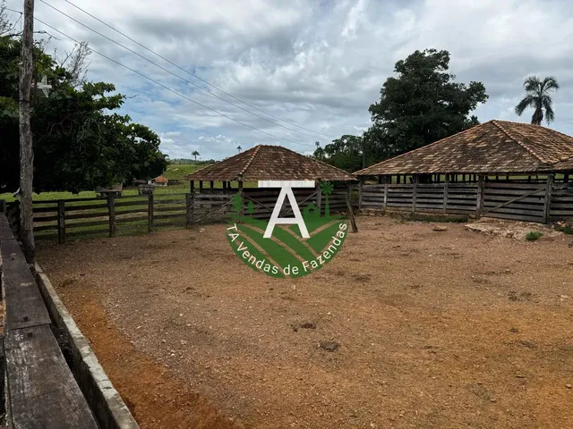 Imagem 4: Fazenda de 192 Alq em Ipameri-Go