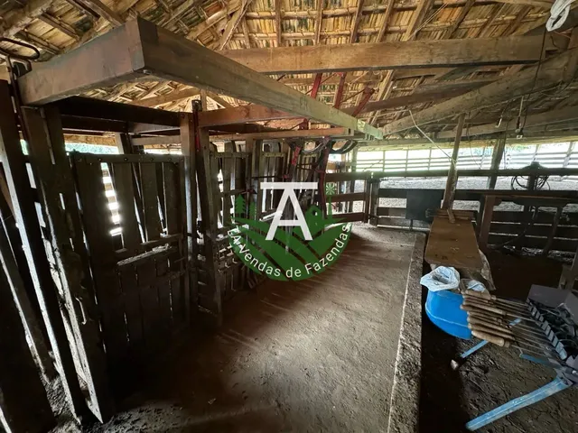 Imagem 8: Fazenda de 192 Alq em Ipameri-Go
