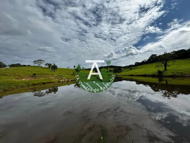 Imagem 2: Fazenda de 192 Alq em Ipameri-Go