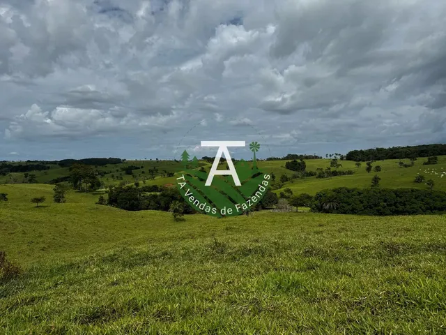 Imagem 7: Fazenda de 192 Alq em Ipameri-Go