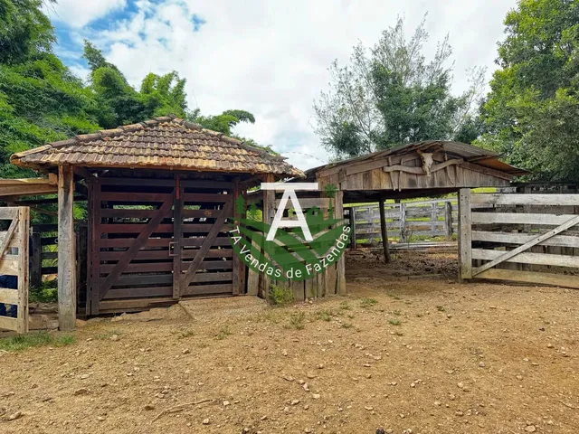 Imagem 13: Fazenda de 192 Alq em Ipameri-Go