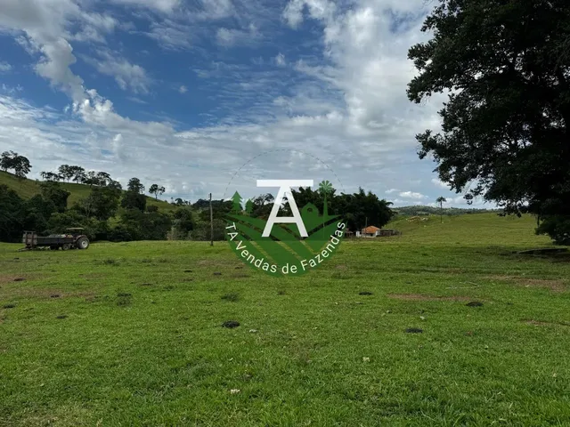 Imagem 15: Fazenda de 192 Alq em Ipameri-Go