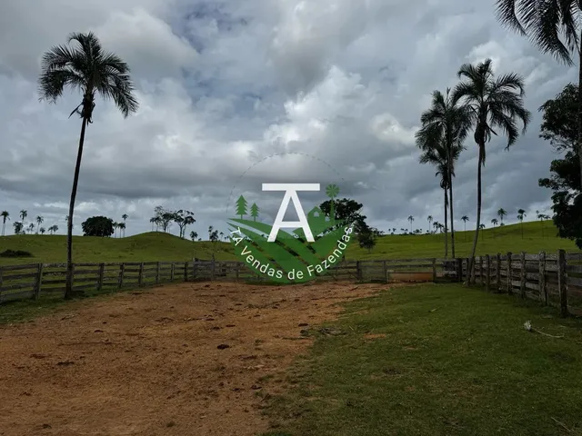 Imagem 9: Fazenda de 192 Alq em Ipameri-Go