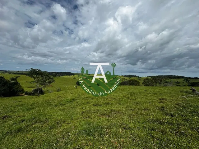 Imagem 3: Fazenda de 192 Alq em Ipameri-Go