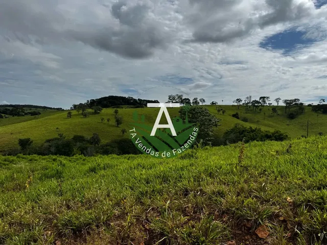Imagem 6: Fazenda de 192 Alq em Ipameri-Go