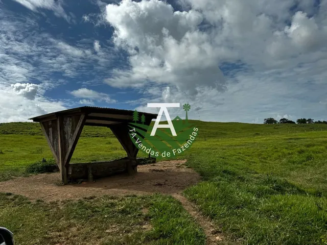 Imagem 11: Fazenda de 192 Alq em Ipameri-Go
