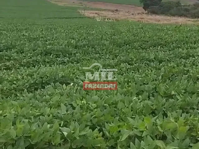Imagem: Fazenda 362 Alqueires (1.750 Hectares) Doverlândia