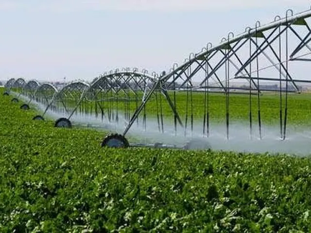Imagem: 350.000.000 Fazenda 417 Alqueires para Lavoura