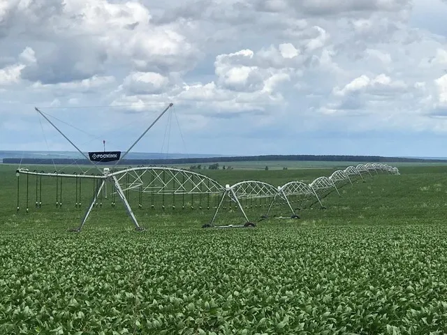 Imagem 11: 350.000.000 Fazenda 417 Alqueires para Lavoura em Ipameri-Go