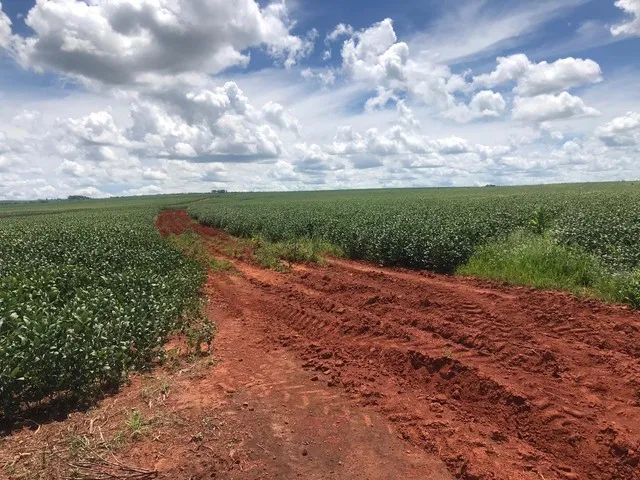 Imagem 9: 350.000.000 Fazenda 417 Alqueires para Lavoura em Ipameri-Go