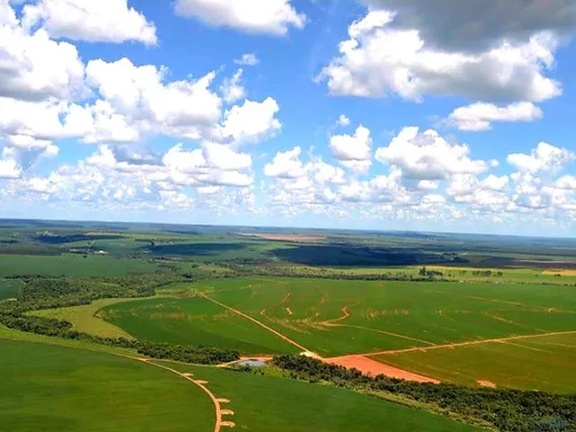Imagem 5: 350.000.000 Fazenda 417 Alqueires para Lavoura em Ipameri-Go