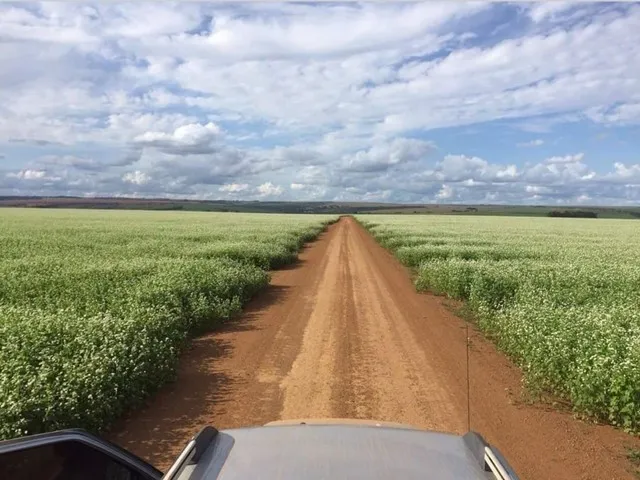 Imagem 8: 350.000.000 Fazenda 417 Alqueires para Lavoura em Ipameri-Go