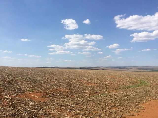 Imagem 10: 350.000.000 Fazenda 417 Alqueires para Lavoura em Ipameri-Go