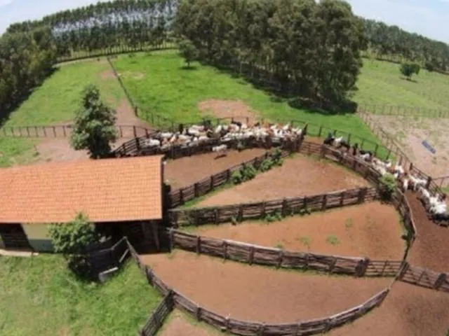 Imagem: 302 Alqueires em Serranópolis-Go