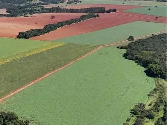 Imagem: Fazenda de 178 Alqueires em Ipameri-Go