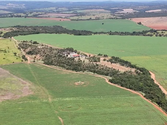 Imagem 4: Fazenda de 178 Alqueires em Ipameri-Go