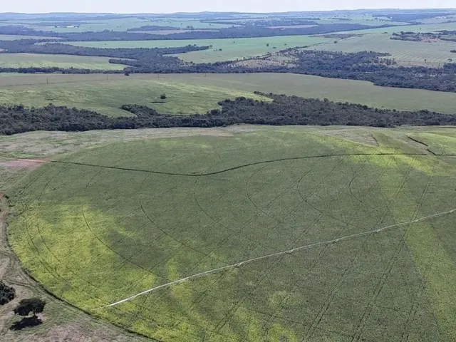 Imagem 6: Fazenda de 178 Alqueires em Ipameri-Go