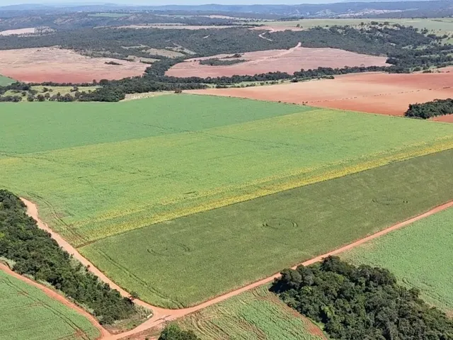 Imagem 2: Fazenda de 178 Alqueires em Ipameri-Go