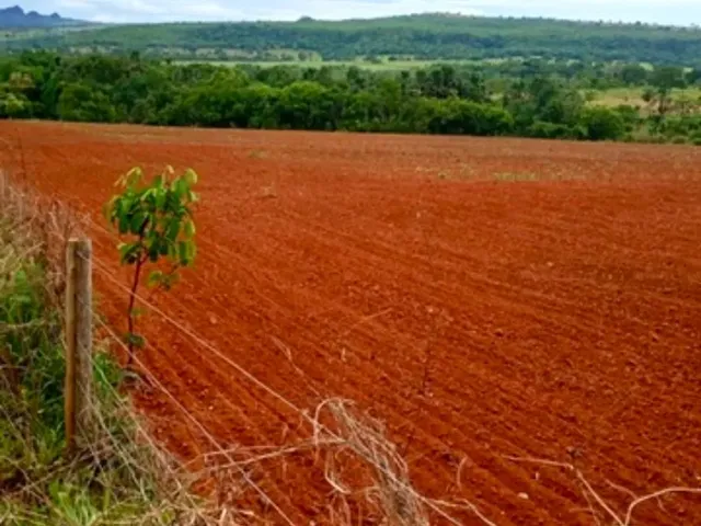 Imagem: Fazenda com 116 Ha a Venda Proximo a Iporá