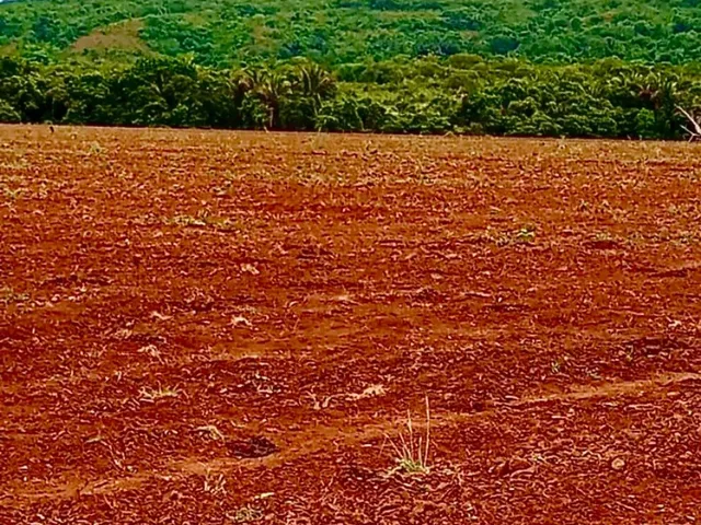 Imagem 2: Fazenda com 116 Ha a Venda Proximo a Iporá - Go