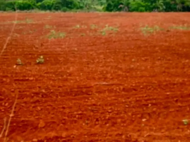 Imagem 3: Fazenda com 116 Ha a Venda Proximo a Iporá - Go