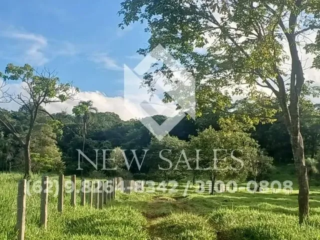 Imagem: Fazenda À Venda C/ 2 Alqueires, Localizado