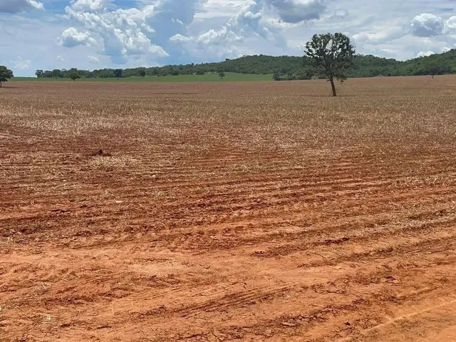 Imagem: Fazenda para Plantio de Soja, 43 Alqueires