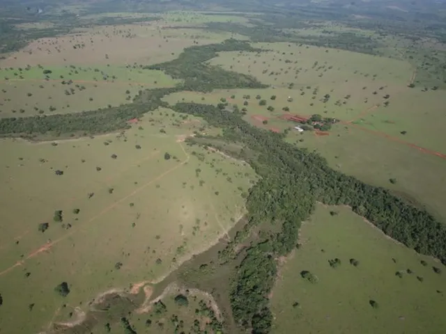 Imagem 12: 648 Alqueires em Doverlandia Go