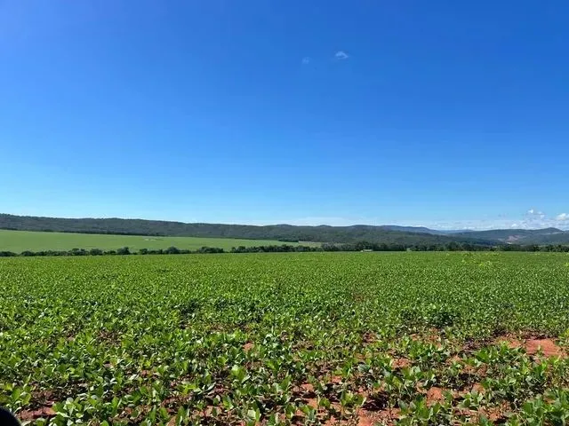 Imagem 9: Fazenda de 479 Alq em Ipameri-Go