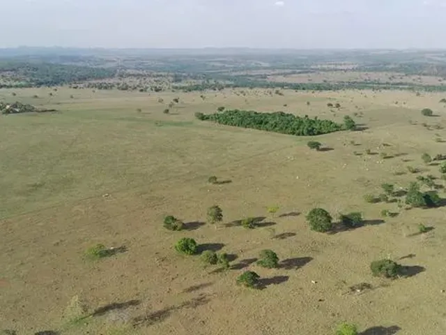 Imagem: R$ 125.000.000 Fazenda 817 Alqueires Região