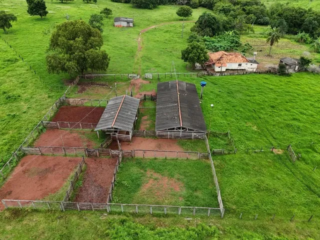 Imagem: Fazenda de 239 Alqueires em Doverlandia-Go