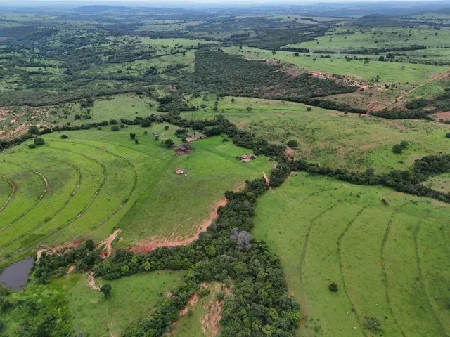 Imagem 7: Fazenda de 239 Alqueires em Doverlandia-Go