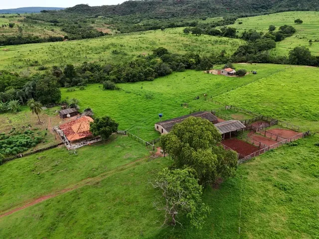 Imagem 9: Fazenda de 239 Alqueires em Doverlandia-Go