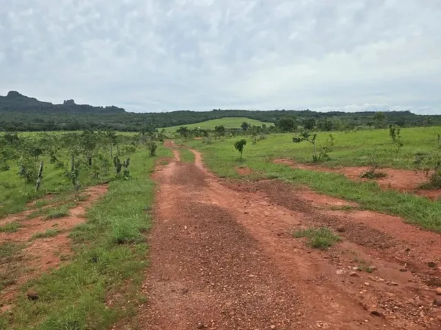 Imagem 6: Fazenda de 239 Alqueires em Doverlandia-Go