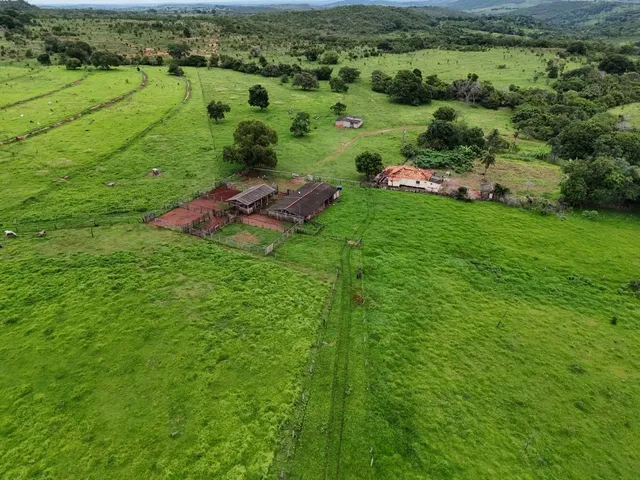 Imagem 8: Fazenda de 239 Alqueires em Doverlandia-Go