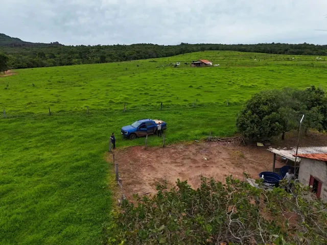 Imagem 5: Fazenda de 239 Alqueires em Doverlandia-Go