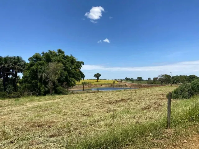 Imagem 2: Fazenda 20 Alqueires - Lavoura!